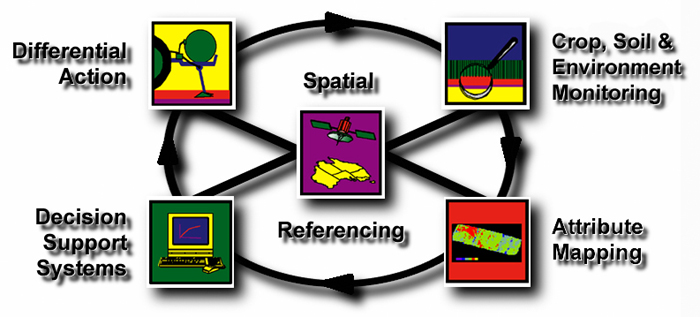 Diagram showing the processes involved in site-specific crop management